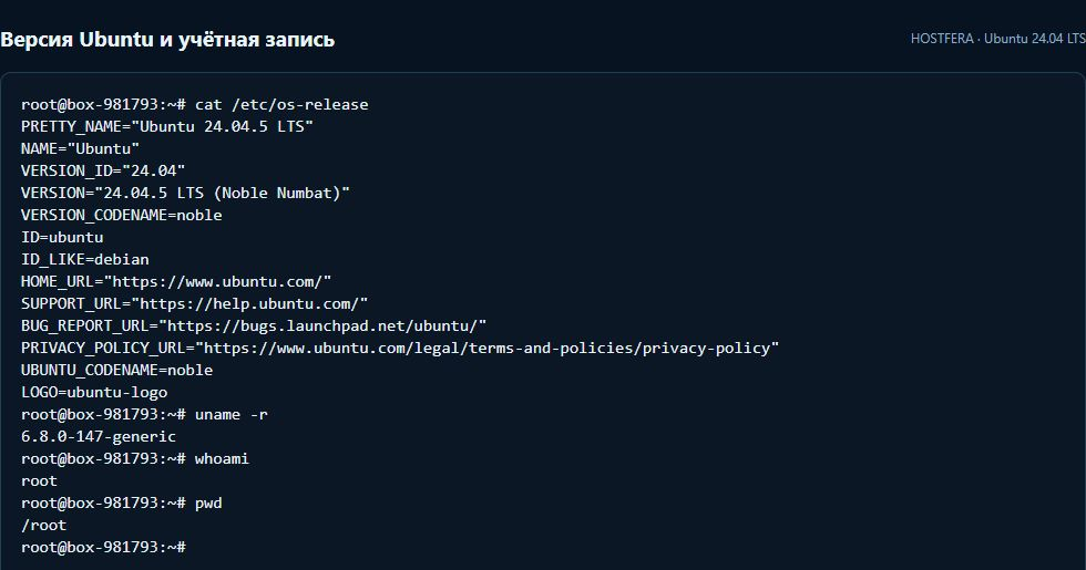 Вывод cat /etc/os-release, uname -r, whoami и pwd на Ubuntu 24.04 LTS