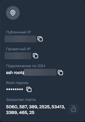 Блок подключения Timeweb Cloud: подписи публичного и приватного IP, команда SSH и скрытый пароль