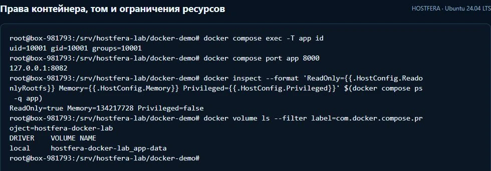 UID 10001, ReadOnly true, лимит памяти 128 МБ, Privileged false и именованный том Docker