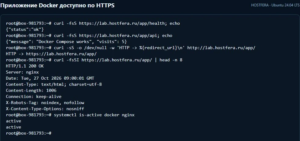 Внешний адрес Docker-приложения: health ok, API со счётчиком, HTTPS 200 и редирект HTTP